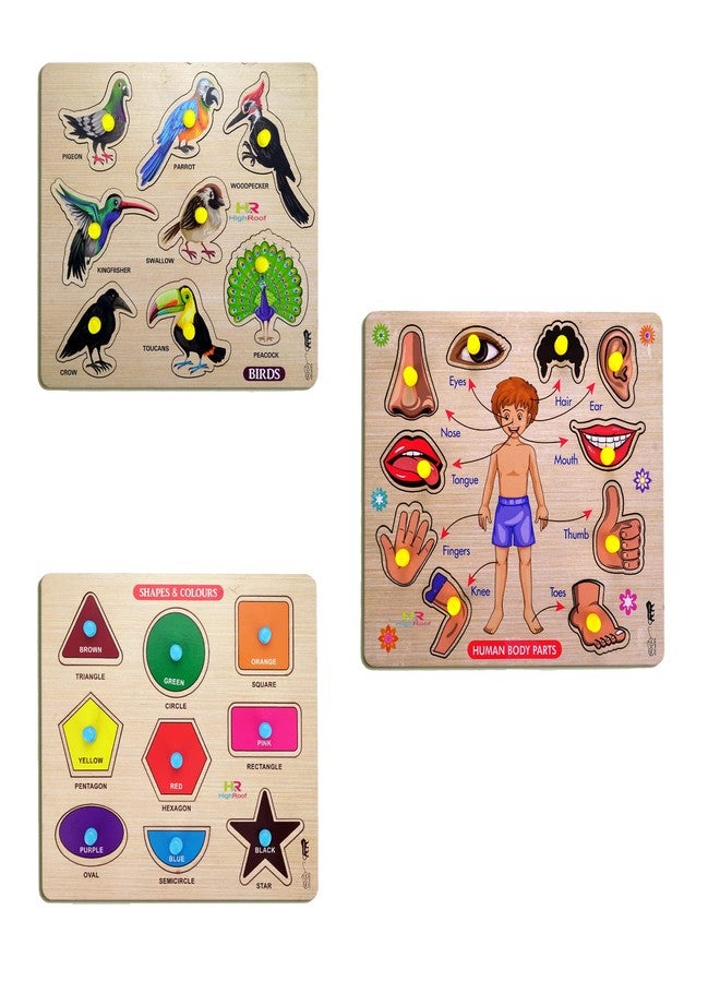 HIGHROOF® Kids Fort Pre Nursery Educational Jigsaw Puzzles for Adults Kids Learning Toys Kit Board Game 3 pcs Set of Birds Human Body Parts & Shapes & Colours Educational Toy - Image 1